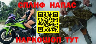 шишки Донской