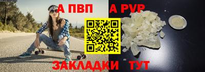 шишки Донской