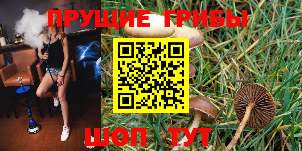 Долгопрудный  Псилоцибиновые грибы Psilocybine cubensis  Галлюциногенные грибы Psilocybe  Вход с VPN 